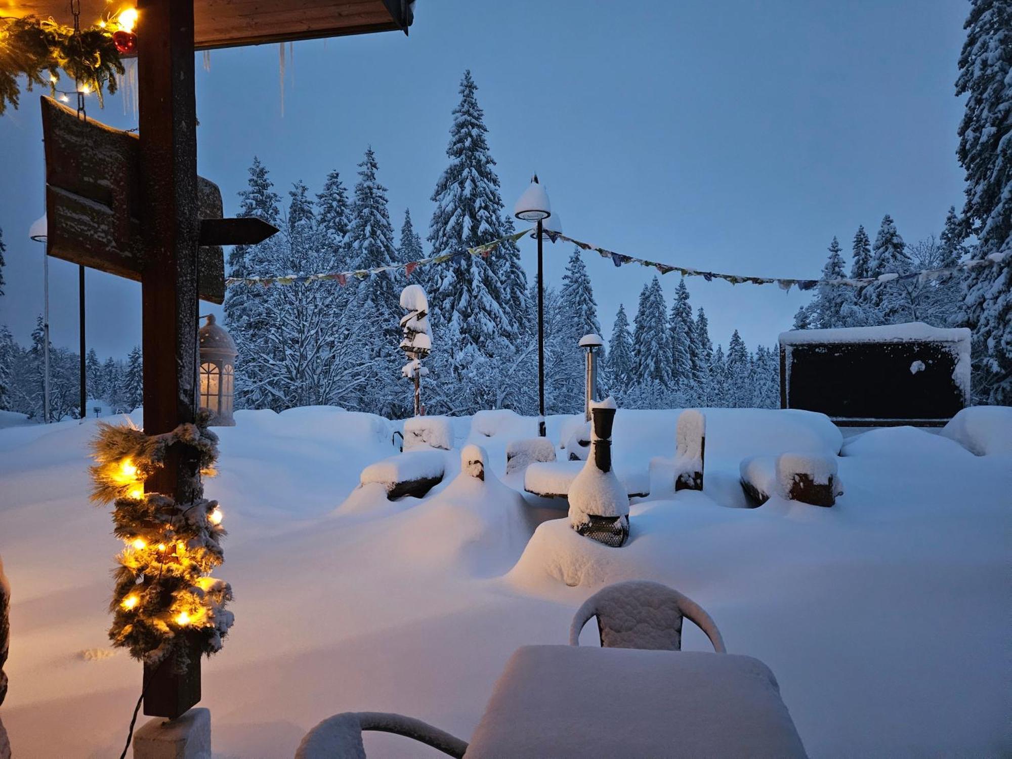 Hotel Restaurant Du Marchairuz Le Brassus ภายนอก รูปภาพ